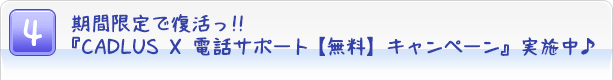 $B4|4V8BDj$GI|3h$C(B!!$B!X(BCADLUSX$BEEOC%5%]!<%H!ZL5NA![%-%c%s%Z!<%s!Y<B;\Cf